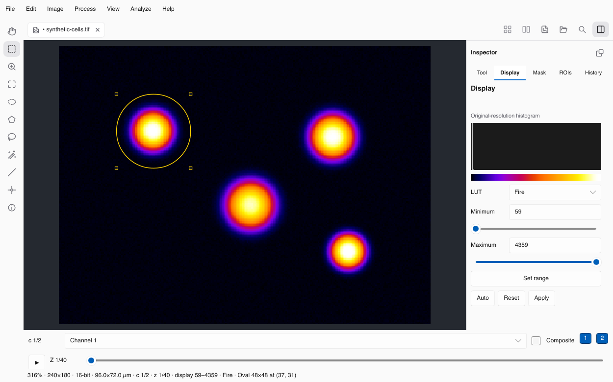 The Oxel workspace with a Display inspector and an oval selection. Synthetic demonstration data; colors are a Fire LUT, not separate biological signals.